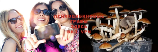 Альфа ПВП Абаза