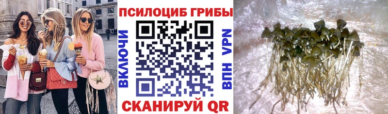 Галлюциногенные грибы мицелий  цена наркотик  гидра онион  Шадринск 